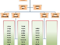 2012년 집행부 및 조직구성..
