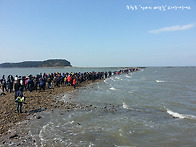 신비의 바닷길(충남 보령 ..