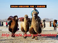 2013 겨울 내몽고여행 (..