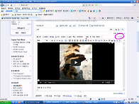 유튜브 동영상을 카페에 ..