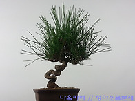 잘 되었는지 모르겠네요