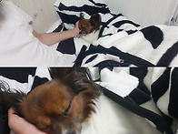 최근의 가을이 모습!!