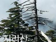 지리산 단풍산행