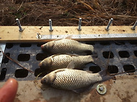 2016 봄을 기록해 봅니다...