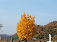 적상산