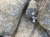 양 손이 없지만 난 할 수..