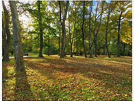 KISSENA PARK 10/28