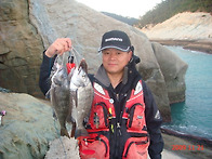 김종환의 감성돔 조황(1)