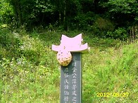 2012년에 작업한 ..