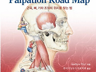 근골격계 Palpation r..