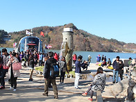 남이섬 데이트11/10(일)..