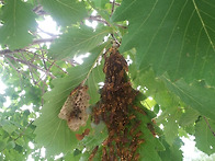 충주의 한 휴양림에서.....