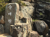 2015년 3월 15일 원동 순..