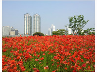 공원 산책길에..부천 호수..