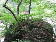 뱀사골계곡(16)