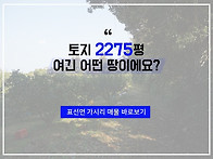 [가시리/2275평/9억] 평..