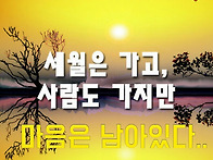 *** 일욜 산행후기 ***