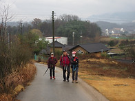 금산 금성산