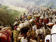 부드러운 바디감과 산뜻한 산미를 가진 르..