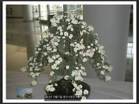 2011년10월17일..