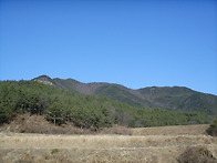 겨울 하수오 산행 한수 배..