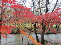 선운산 (고창)