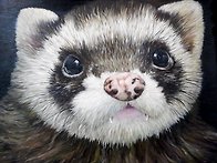 예비 미대생 암운이 그림