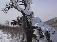 태백산 2014. 2/16