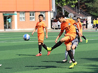 2015리그(보인유 20150..