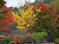 완주 대둔산