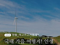 국내 가을 여행지 추천! ..