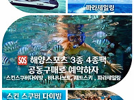 [세부 공동구매] 세부 대..