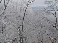 정기산행 사진 모음 3