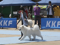 2012년4월8일 대전