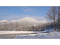 산상의 화원 만항재 (해발..