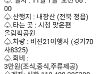 11월 내장산 정기산행