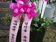★ 호접난 배송사..