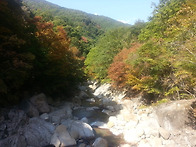 반딧불 산행예정장소 현장..