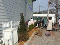 연산홍 심기