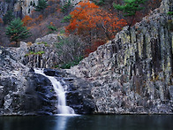 선운산과 내변산