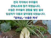 무콘테스트