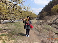 2016년3월26일 ..