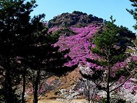 제749회 정기산행 거제 대..