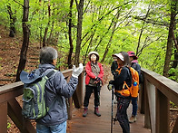 경주 오봉산 (2019. 4...