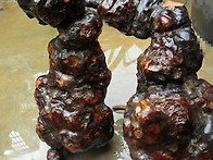 하수오 효능,하수오 복용법..