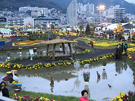 마산가고파국화축제 2018..