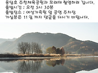 11월 13일(금) 출사 재공..