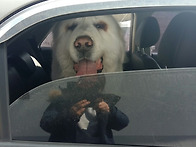 우람이 기억하시나요