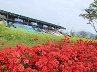 석곡 축제장