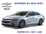 쉐보레 올 뉴 말리부 썬팅..
